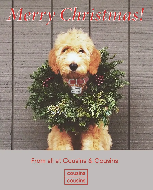Merry Christmas from C&C and our office dog Clover!
