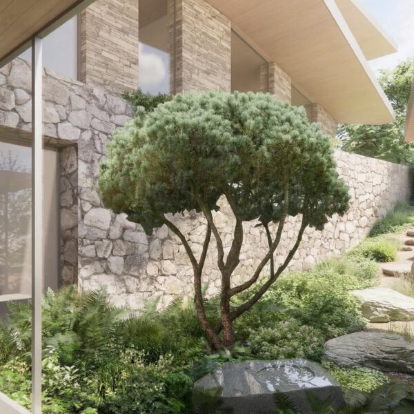 Menai house - courtyard